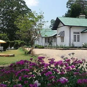 2* 酒店 特列文酒店