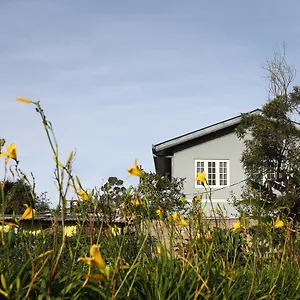 Ubytování v soukromí Pedro View, Nuwara Eliya